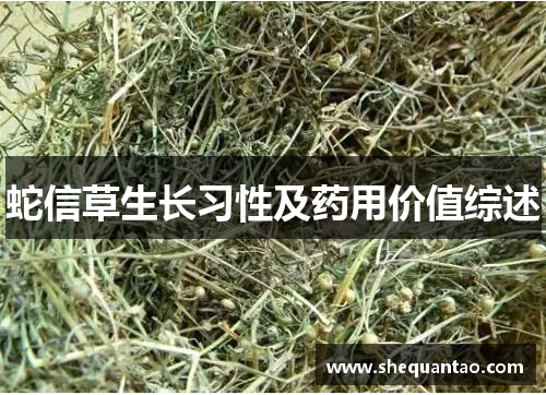蛇信草生长习性及药用价值综述 蛇信草生长习性及药用价值综述
