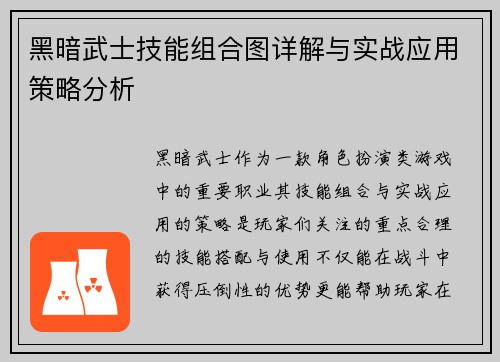 黑暗武士技能组合图详解与实战应用策略分析